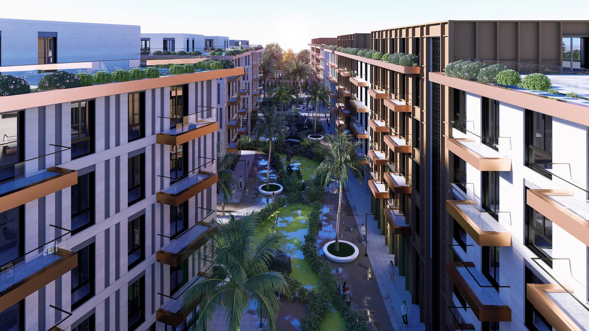 Palm Paradise